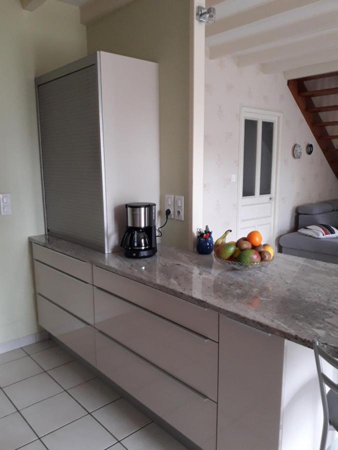 Le Logis De Lange Apt Les Aigrettes Saint-Hilaire-la-Palud Exterior foto